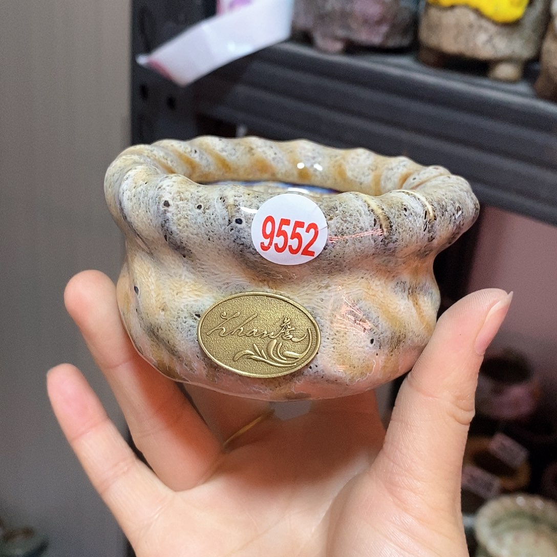 红陶处理的，处理