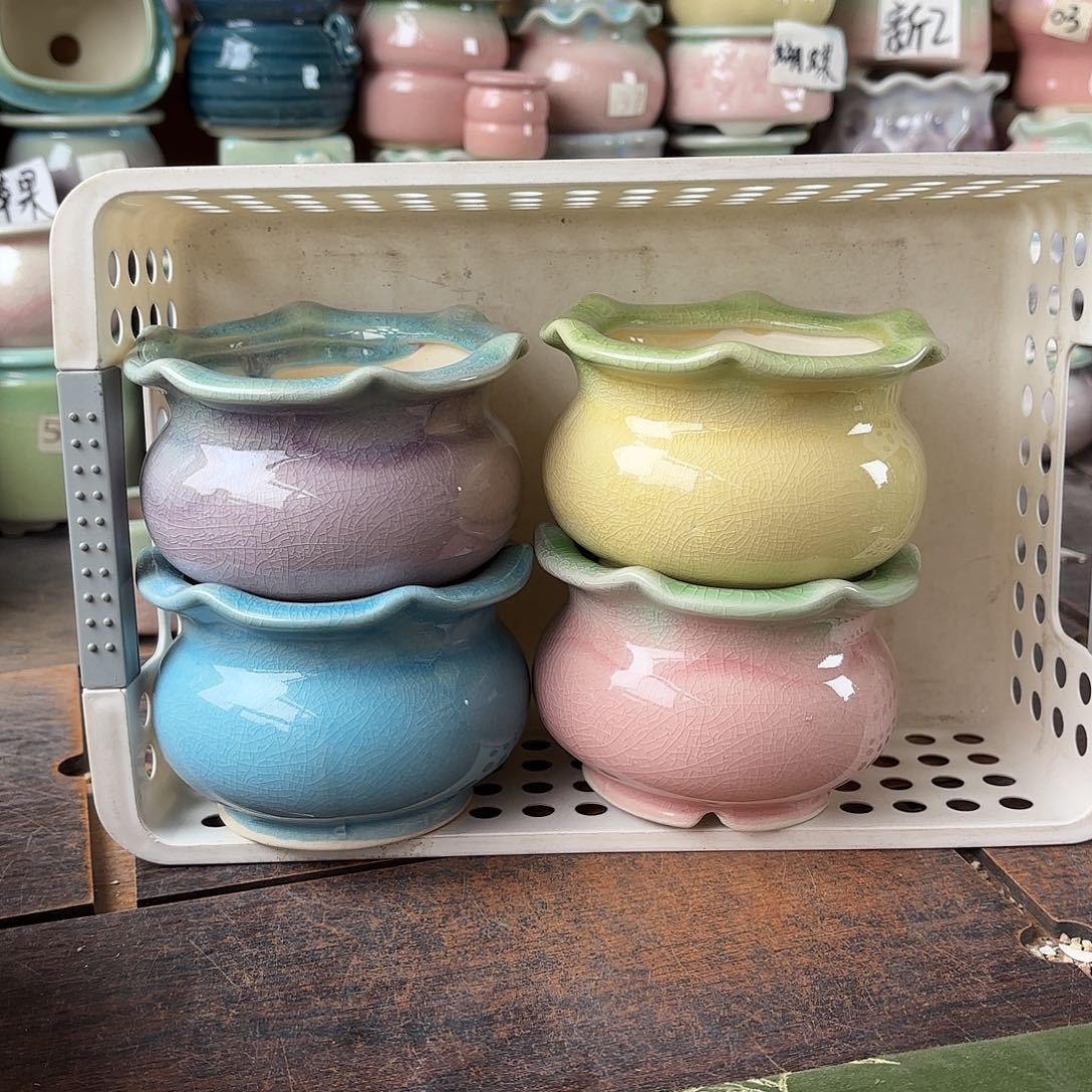 量货/口7.5高7深浅搭配发4