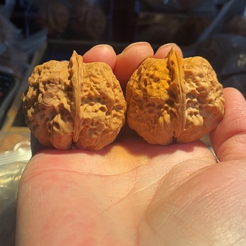 把件文玩核桃驼铃带彩42+