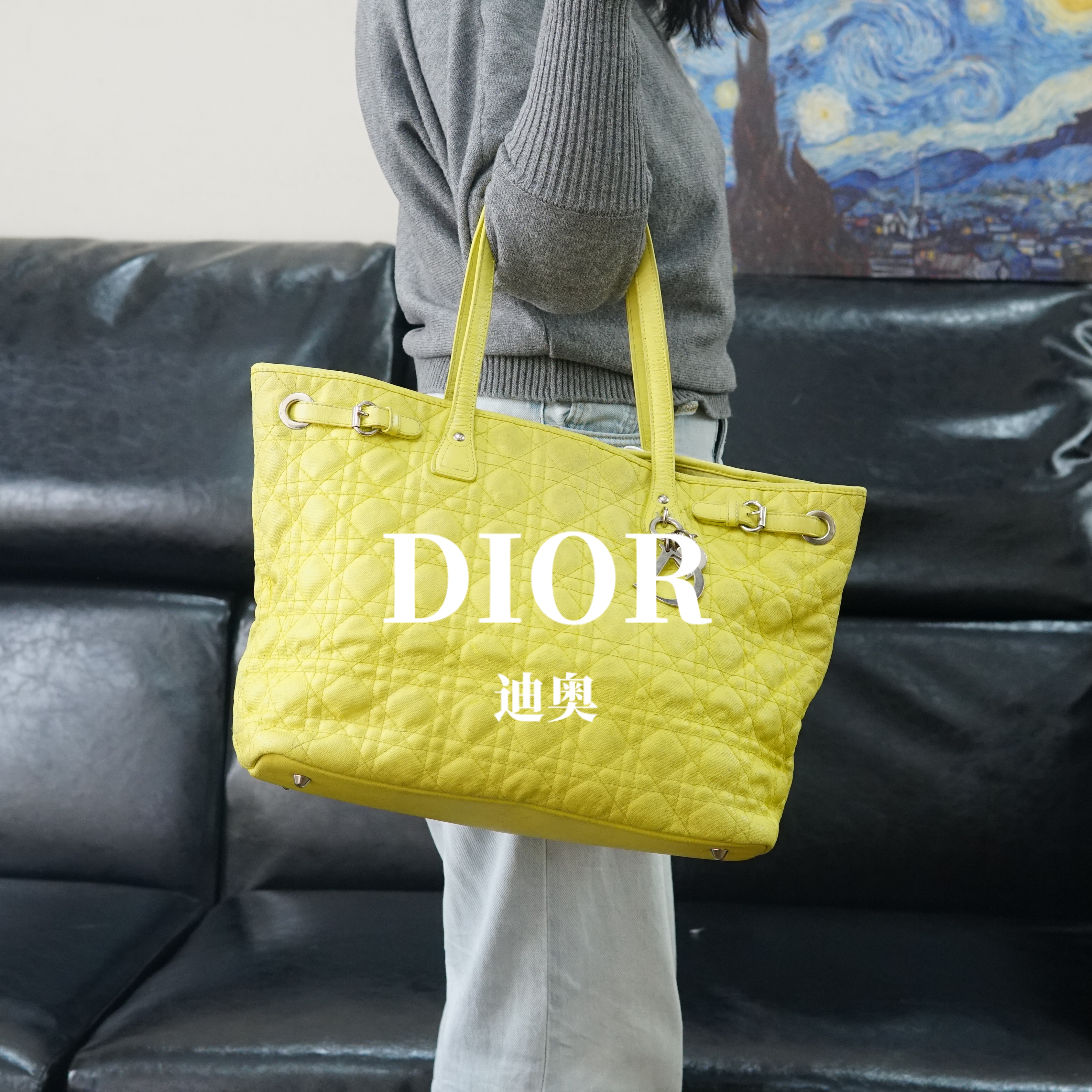 95新 DIOR/迪奥 荧光绿单肩包/FYWJ12220005/0005
