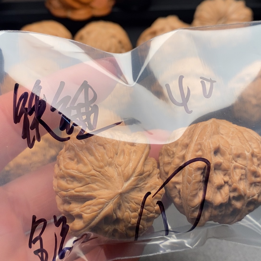 铁锤4011111111111111111111111