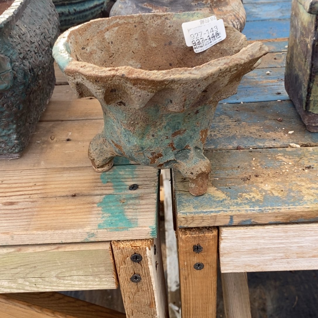 143号多肉盆口径13