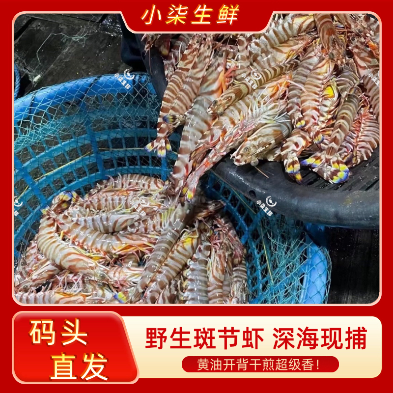 【新号福利】本港码头野生斑节虾 竹节虾深海现捕8-10条/盒  XM