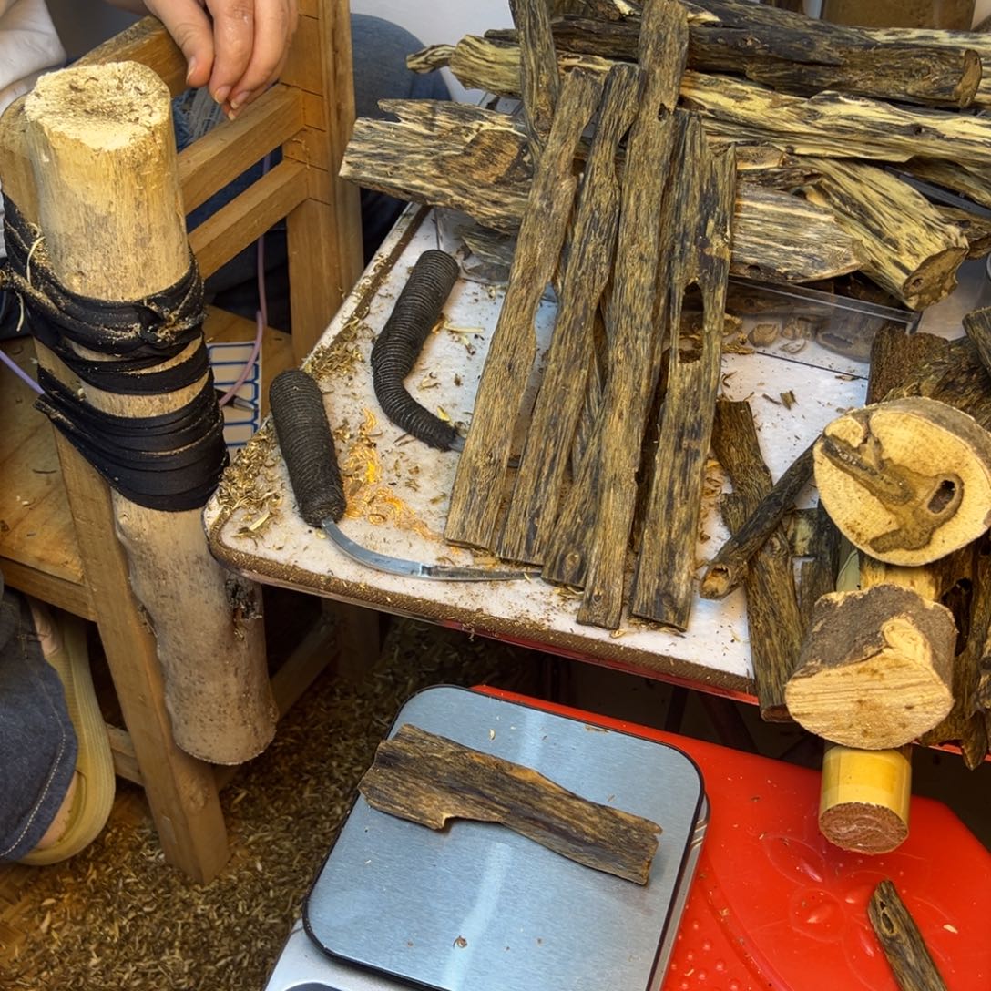 线香奇楠虫漏香22克