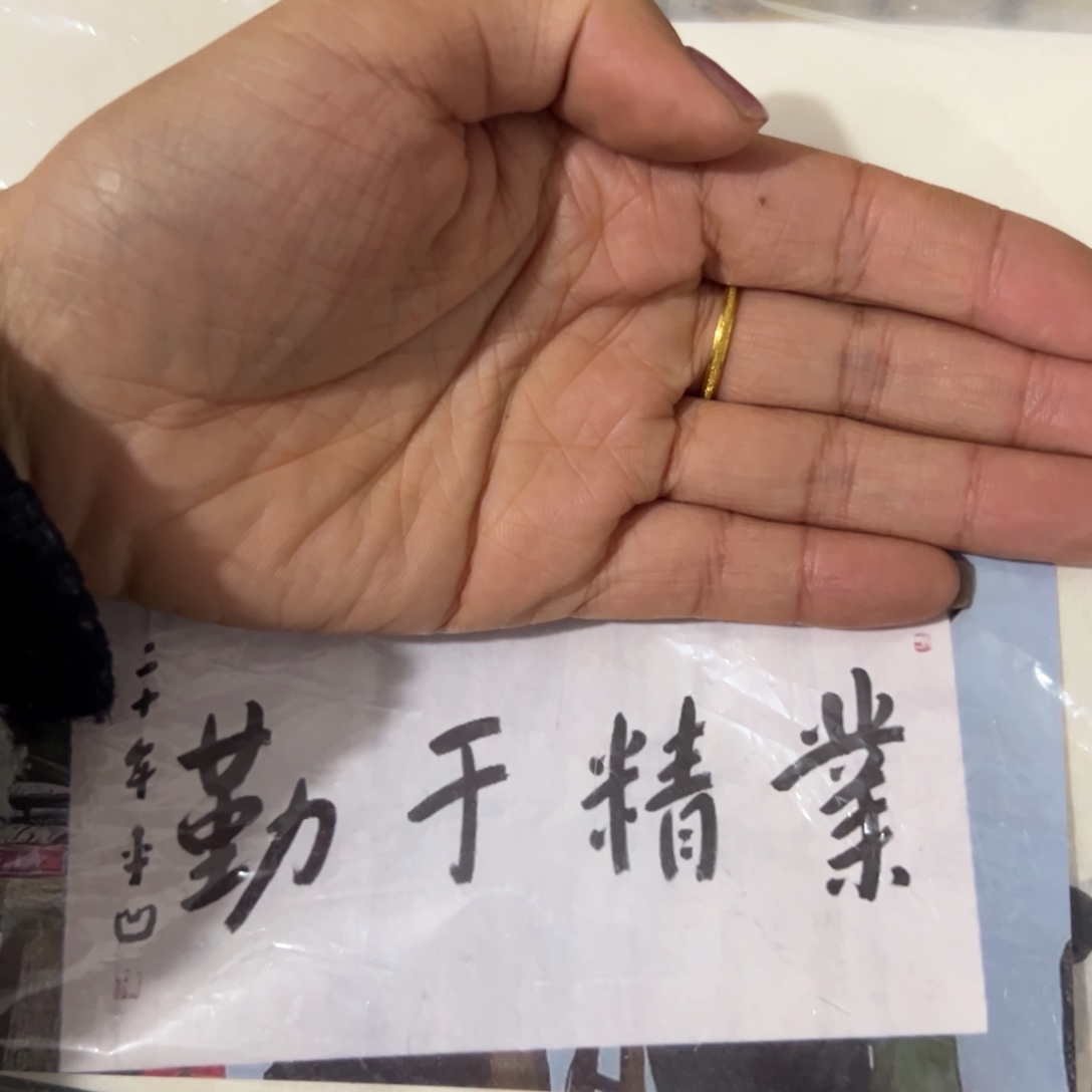 国画国画作品画心一张