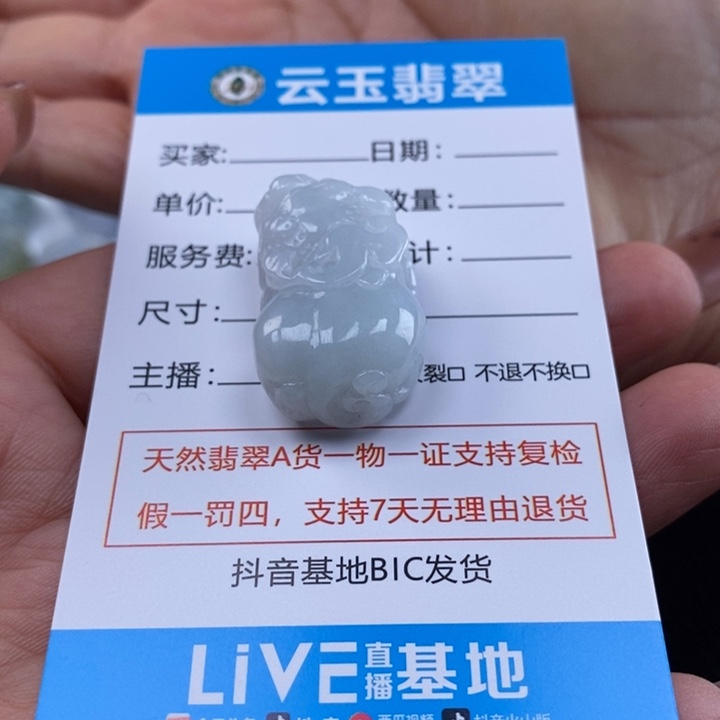 ****翡翠未镶嵌颈饰多人貔貅