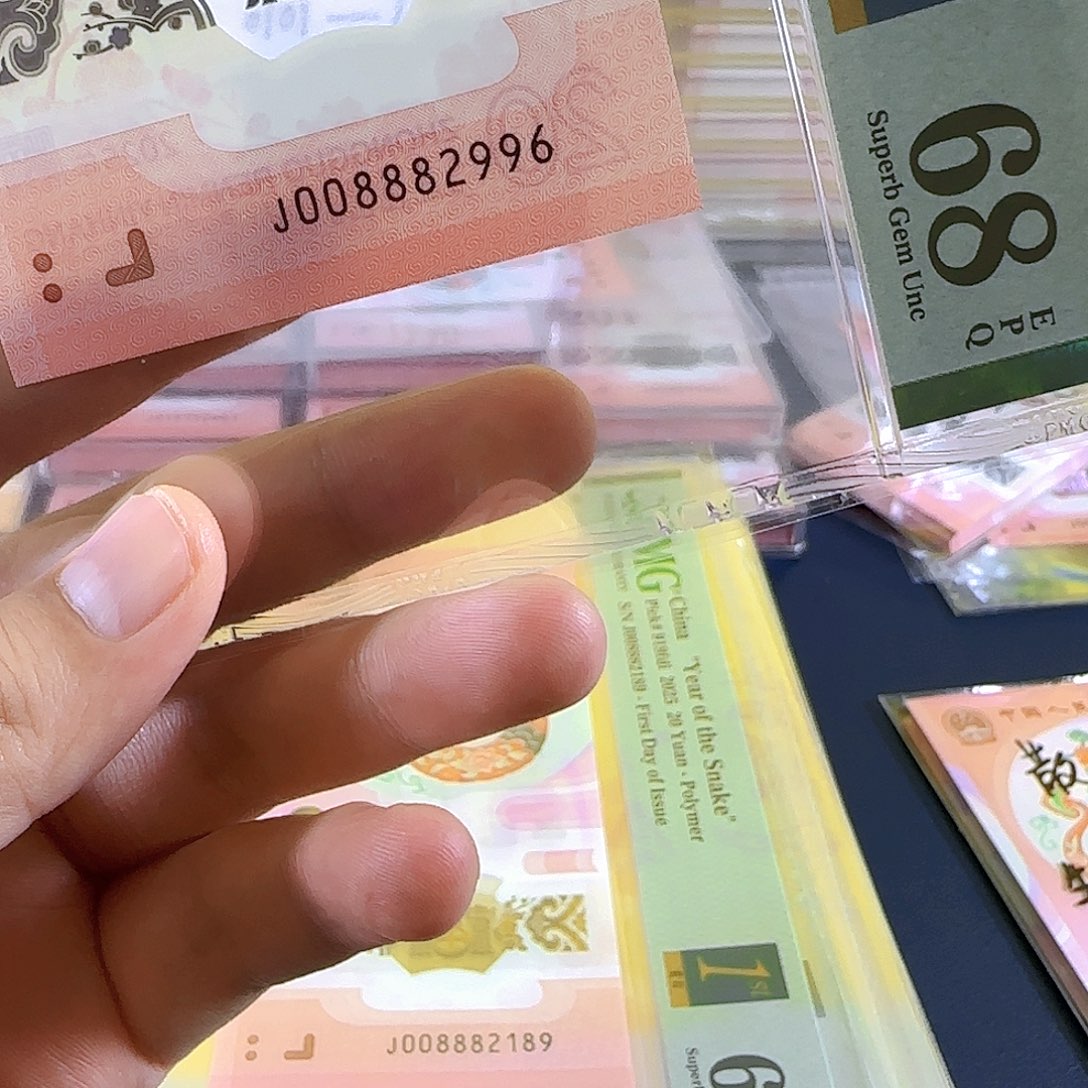 塑料蛇钞008882996单张