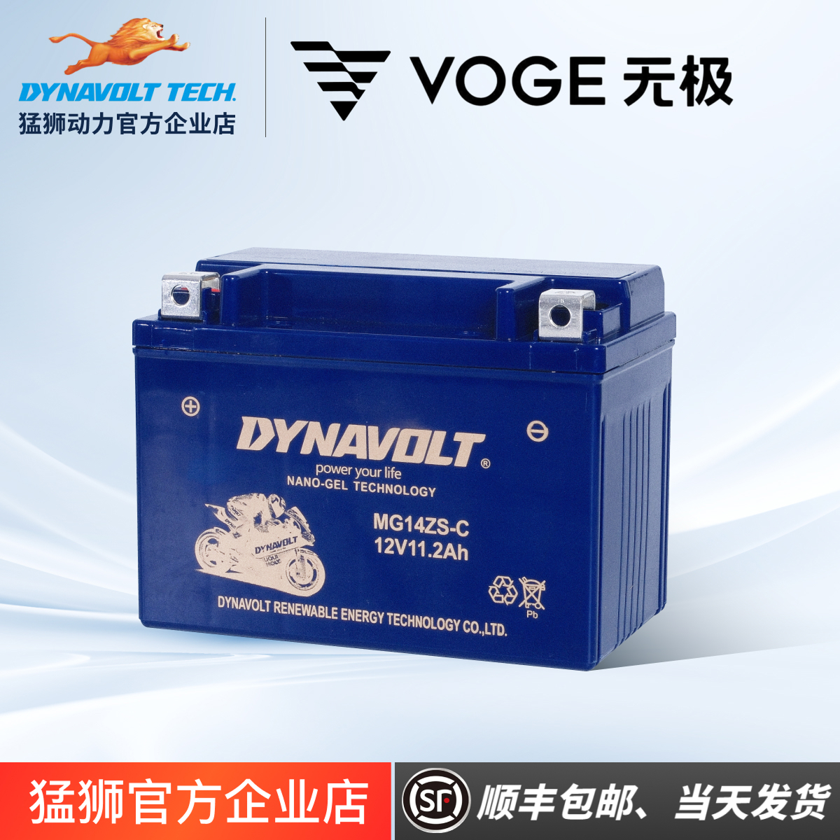 隆鑫无极500R200ACDS525R650DS300RRACGYDS250RR150GT猛狮12V电瓶