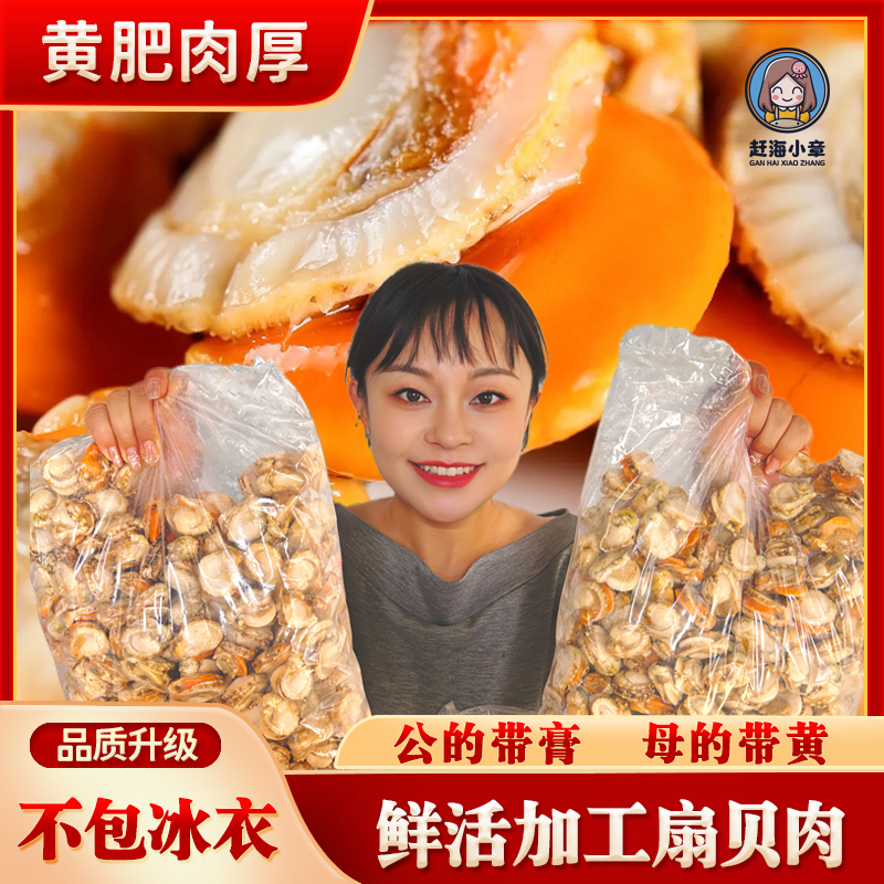 {小章推荐}规格60-80带膏带黄新鲜扇贝肉 到手四斤 顺丰包邮