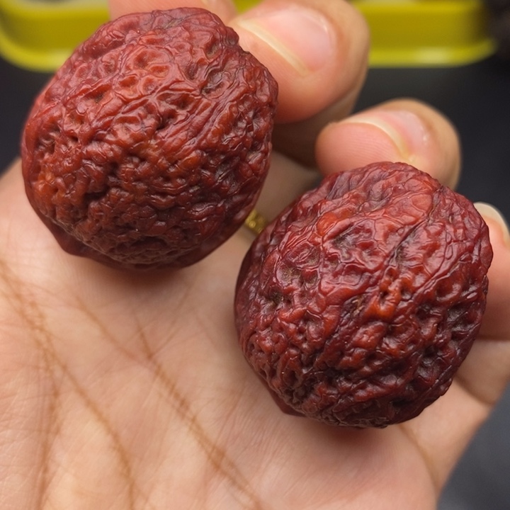 吊坠文玩核桃37尺鱼子元宝