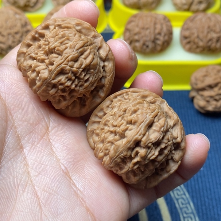 文玩核桃白狮子40