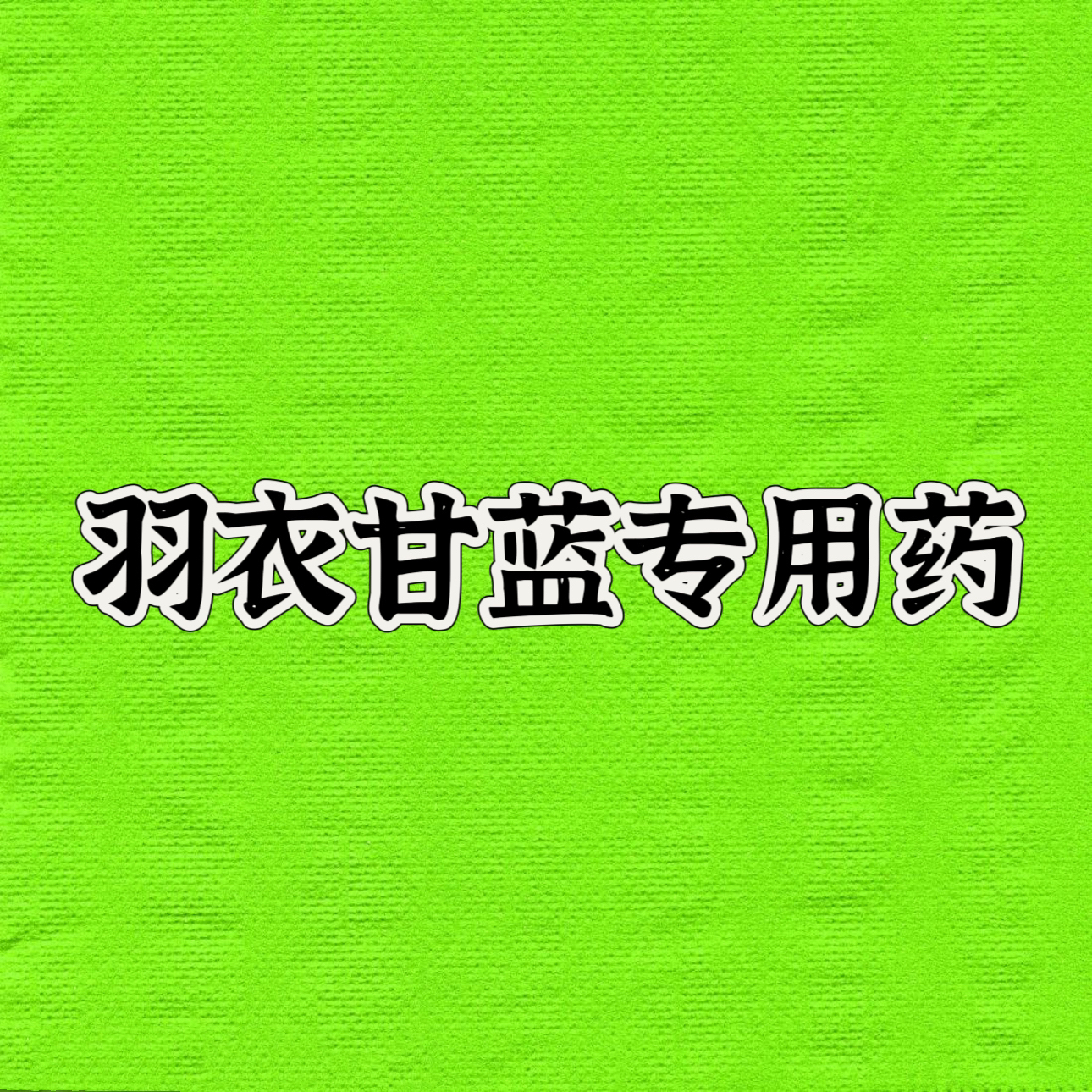 羽衣甘蓝 玫瑰甘蓝 耐寒耐热观赏植物 