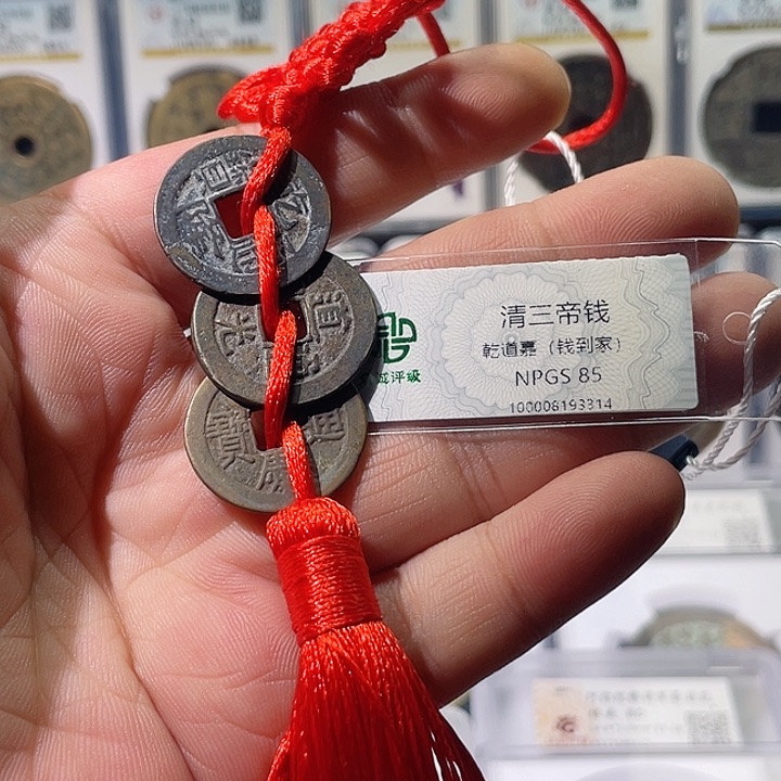 铜钱到家福利～大宗