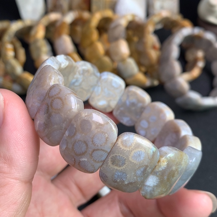 【闪购商品】硅化珊瑚（珊瑚玉）手链未镶嵌