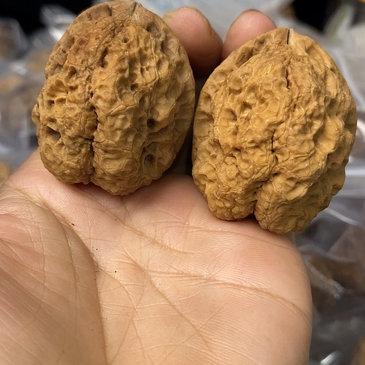 核桃云南铁核桃基地36