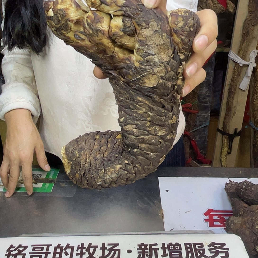 中国大陆595克20厘米