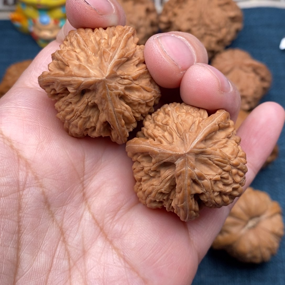 文玩核桃把件36玉龙粗筋奔全品