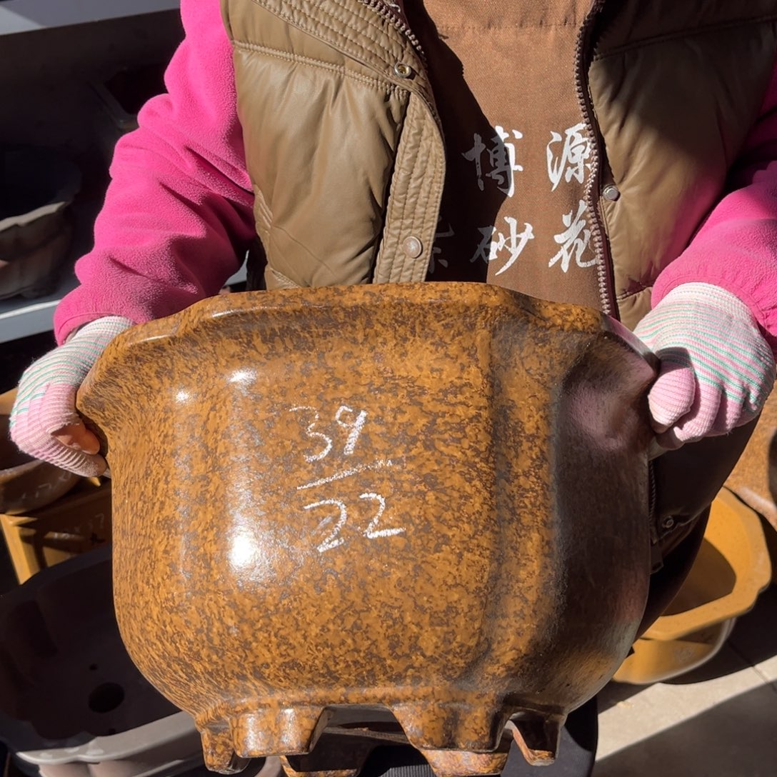 紫砂花盆盆景艺术