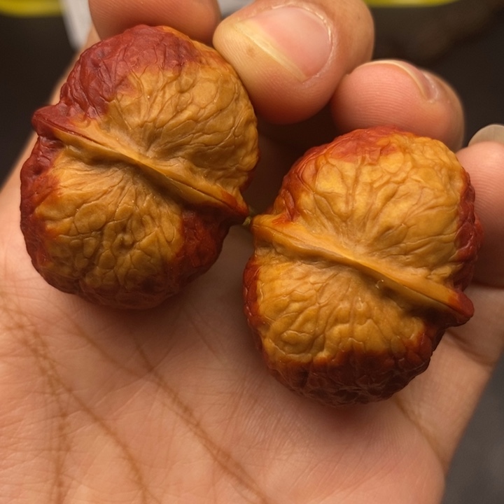 凯***猪文玩核桃吊坠37尺丸子