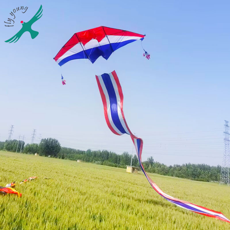 新款追风者滑翔机风筝大型初学者成人专用立体伞布碳素杆抗大风