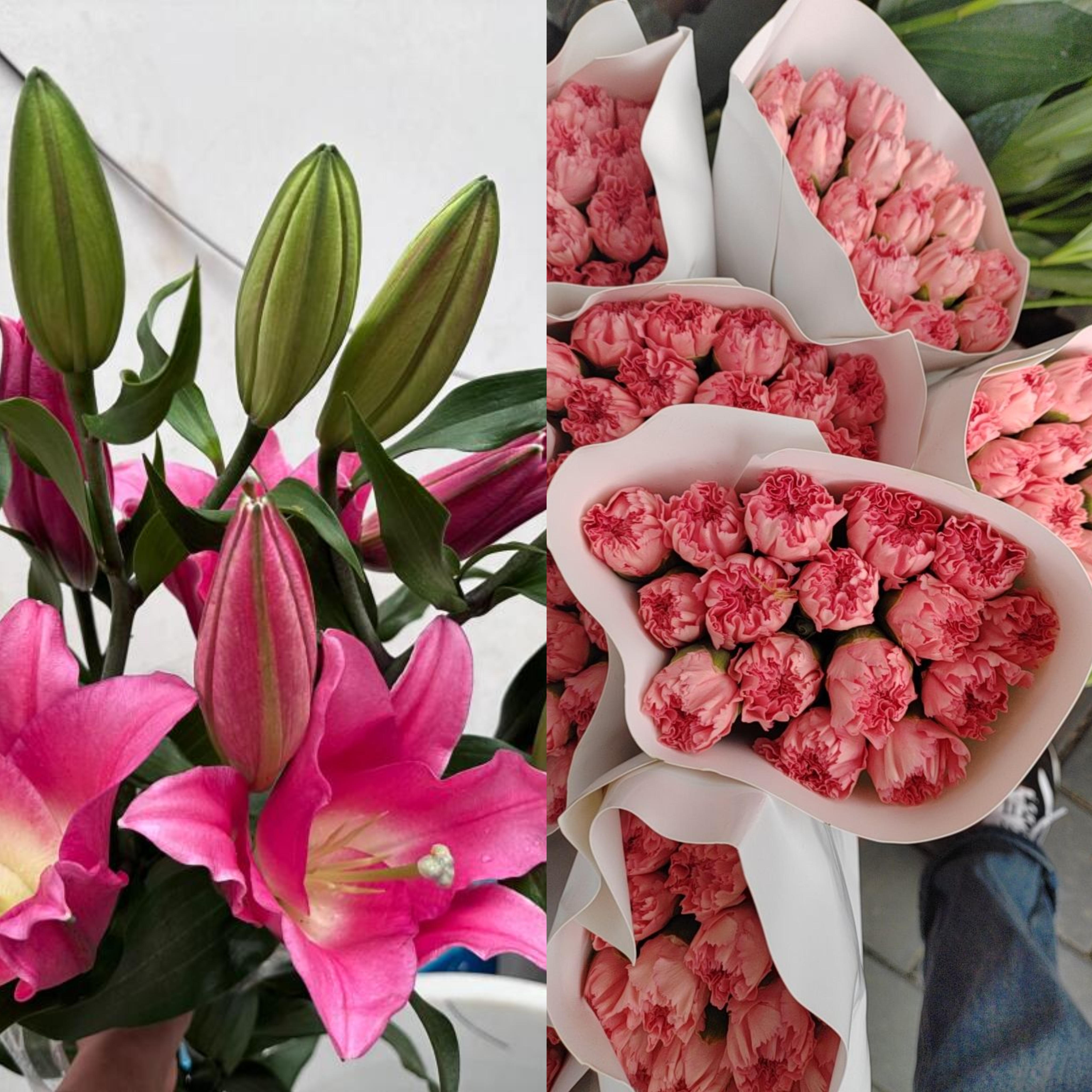 红色多头百合2枝（共8个花包）+粉色康乃馨10支