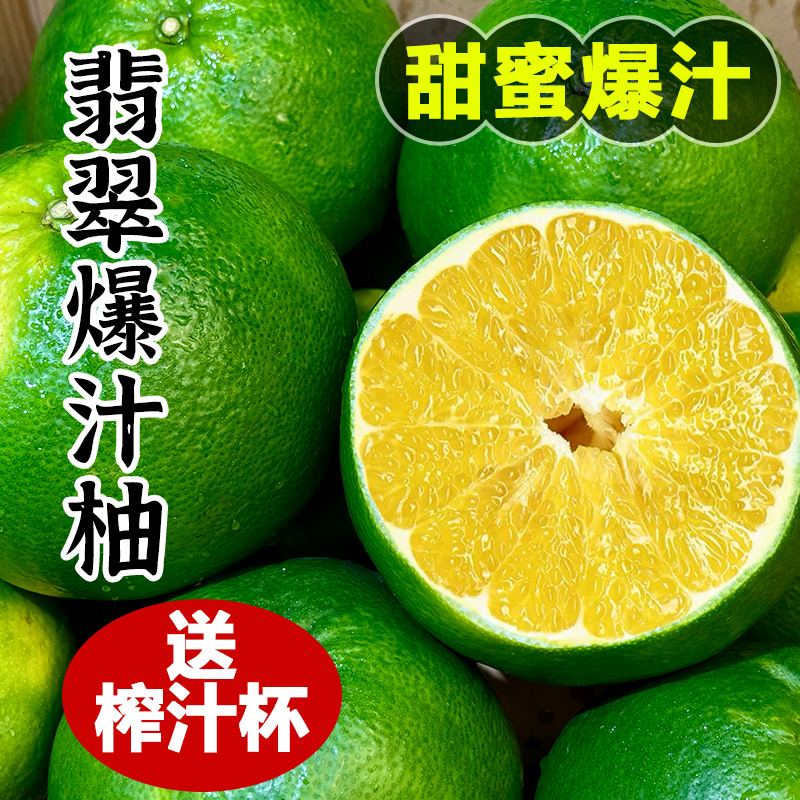 【顺丰次日达】翡翠爆汁柚5斤装新鲜青皮柚当季水果礼盒顺丰包邮广东省