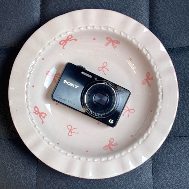 9新 Sony/索尼 WX100 1280w 10x光变小长焦 出片神器 复古冷白