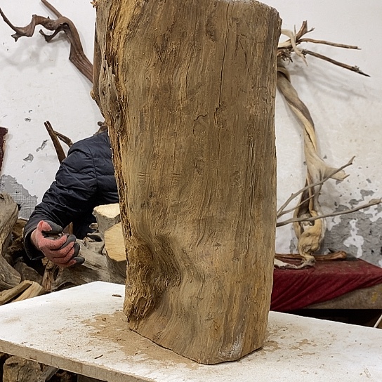 玥***品柏木我们都是好孩子