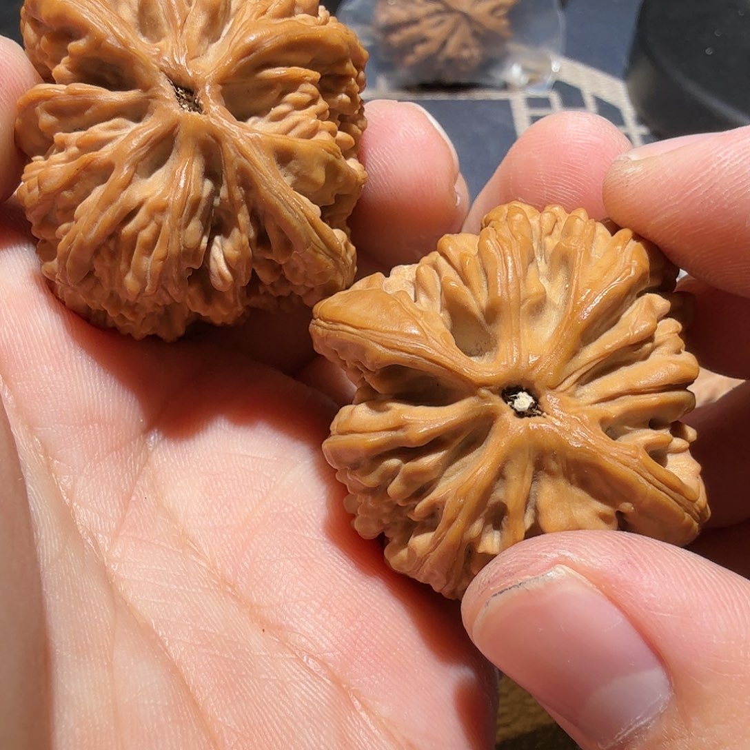 文玩核桃把件虎头王