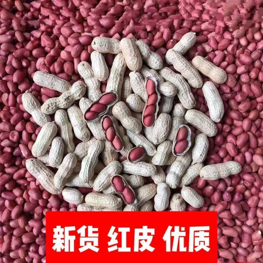 农家自种红皮花生带壳
