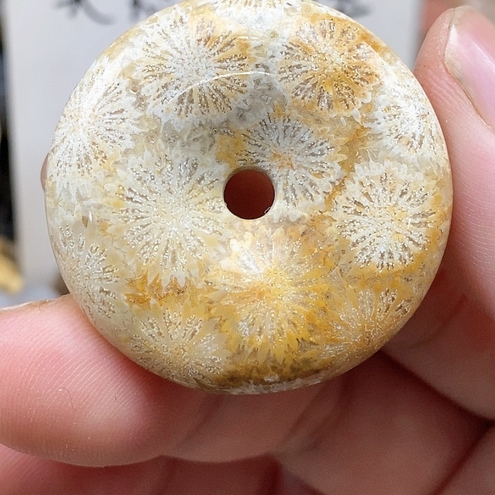 颈饰未镶嵌硅化珊瑚（珊瑚玉）