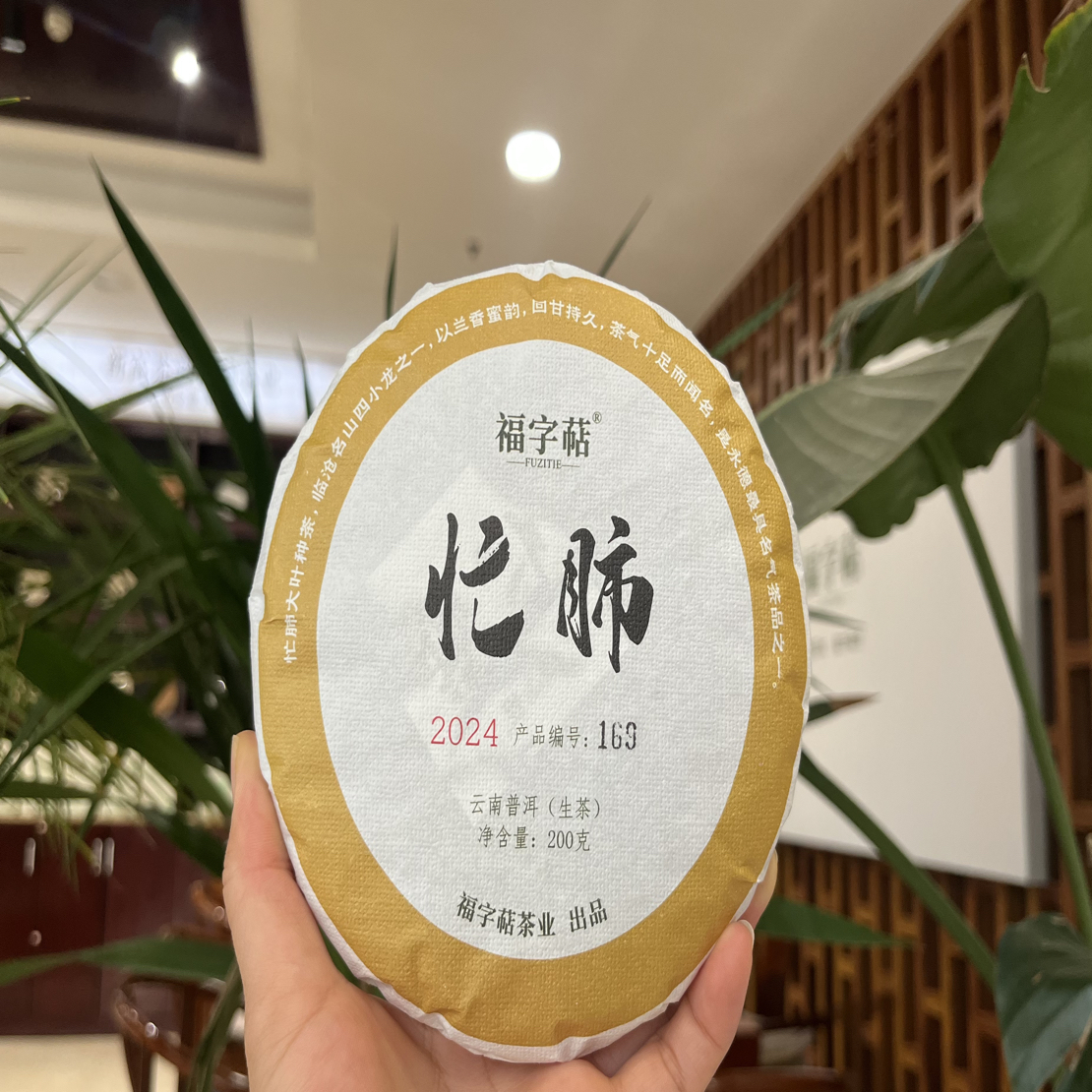 云南普洱茶生茶2024年忙肺头春