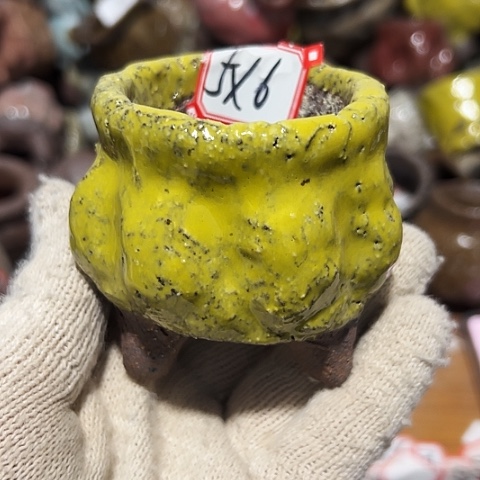 粗陶花盆制作就这样了