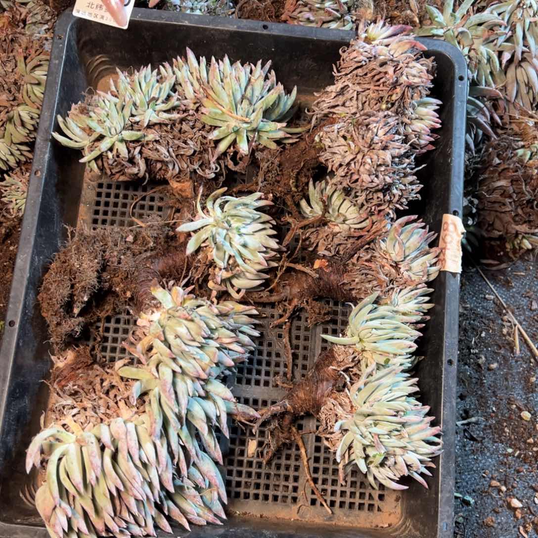 8410哈哈哈哈哈哈哈哈哈哈