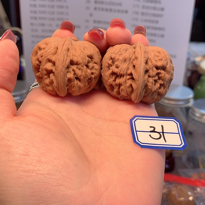 菩提籽类元宝41尺寸