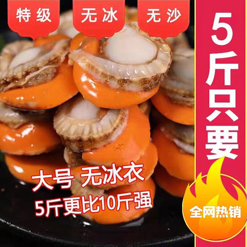 【ChowTop超级食客】当季新鲜手剥4060扇贝肉无泥无沙带膏带黄