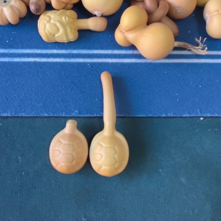 见***澜葫芦呀中必看看哈哈