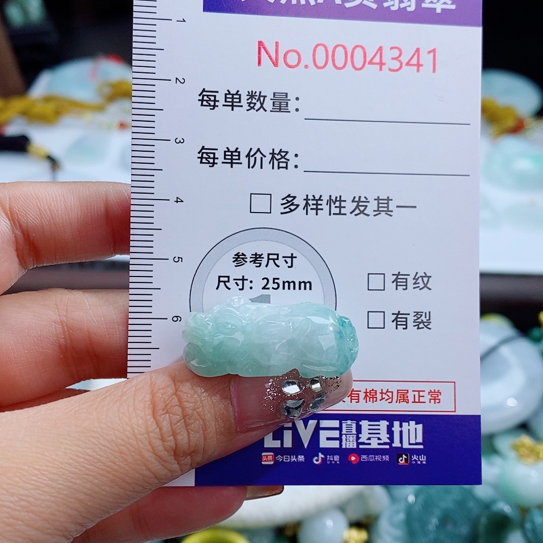 翡翠未镶嵌颈饰4341