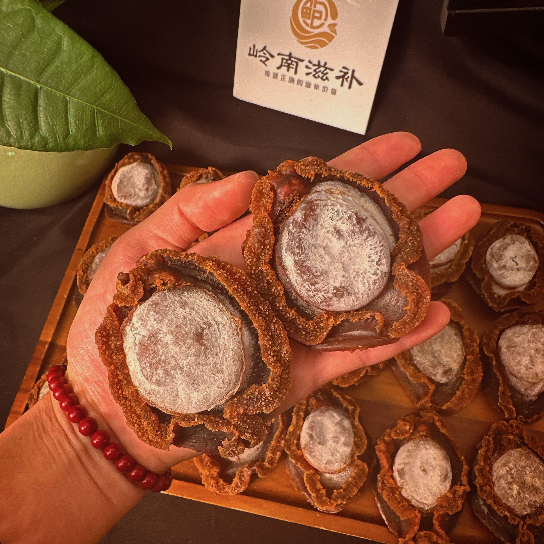 [现场综合链接] 精选糖心干鲍现场讲解2（500克或以上）