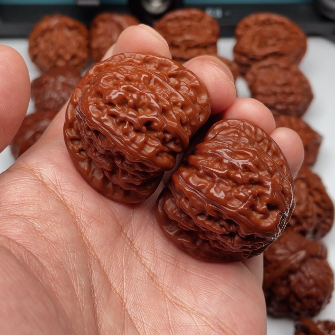 文玩核桃把件H*C白狮子41