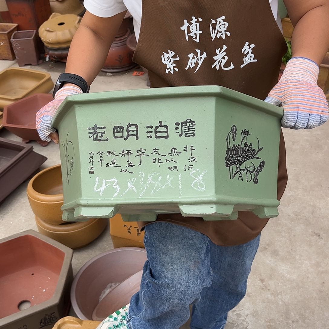 紫砂花盆盆景艺术