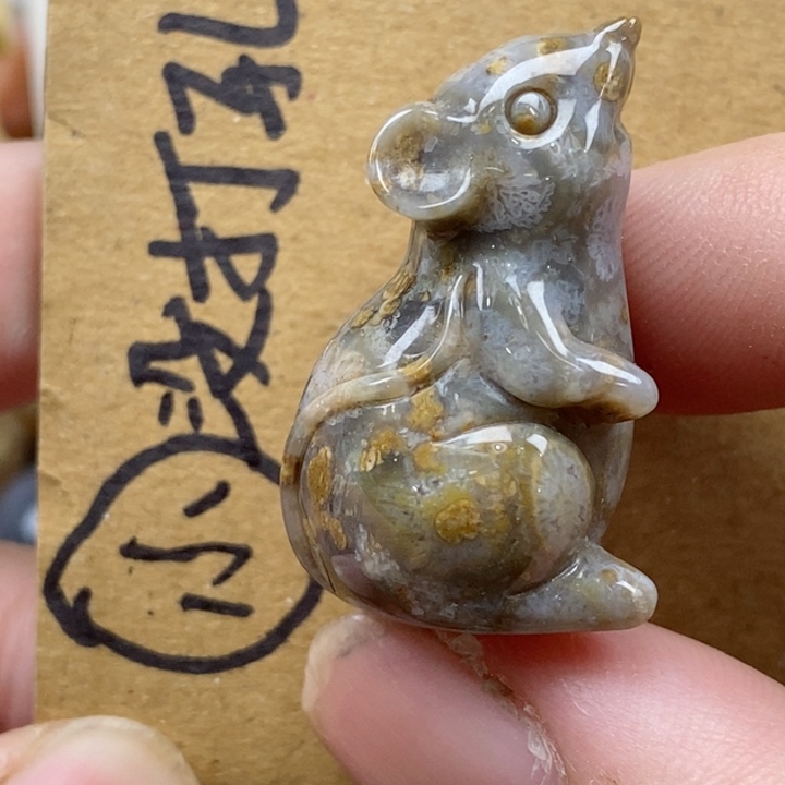 颈饰未镶嵌硅化珊瑚（珊瑚玉）