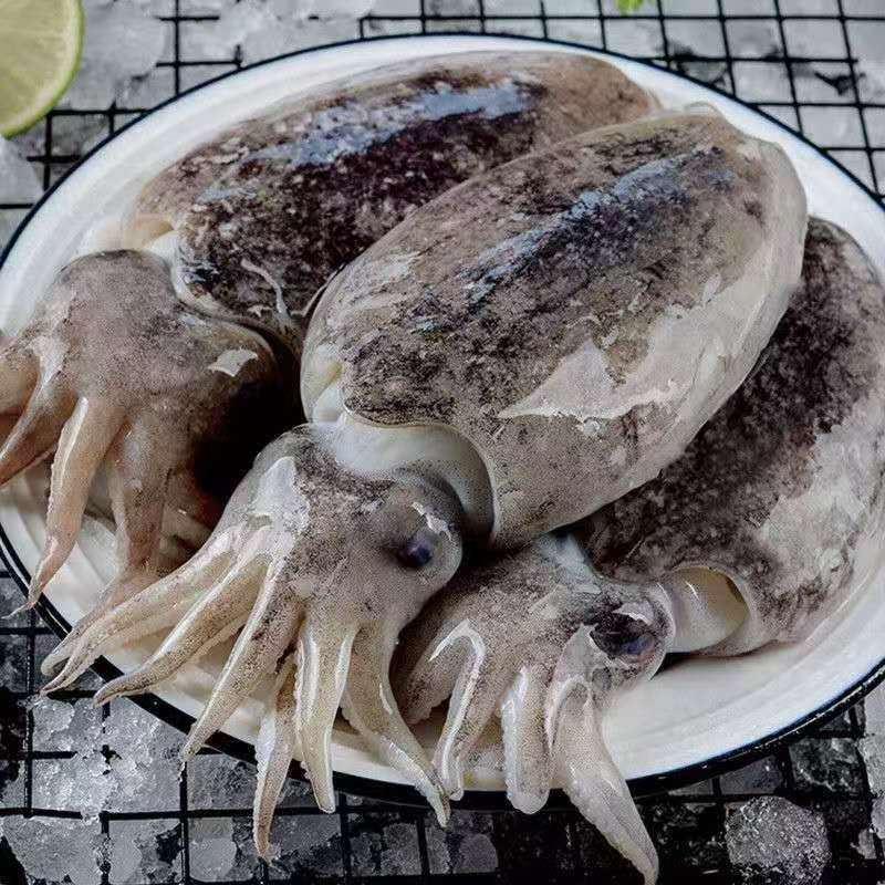 大连发货   乌鱼蛋（顺丰包邮）