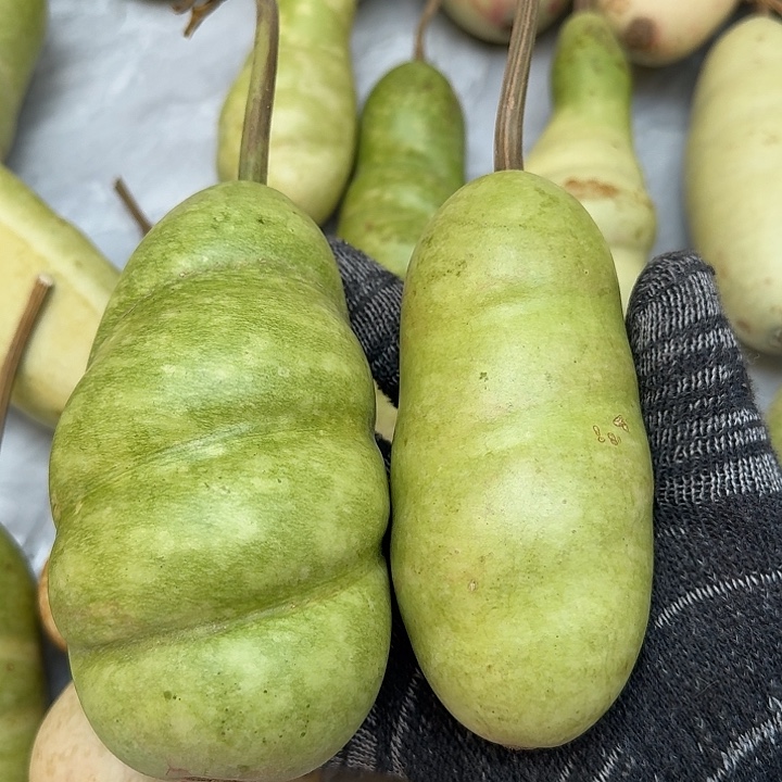 暖***宝大叶紫檀（黑酸枝木类）