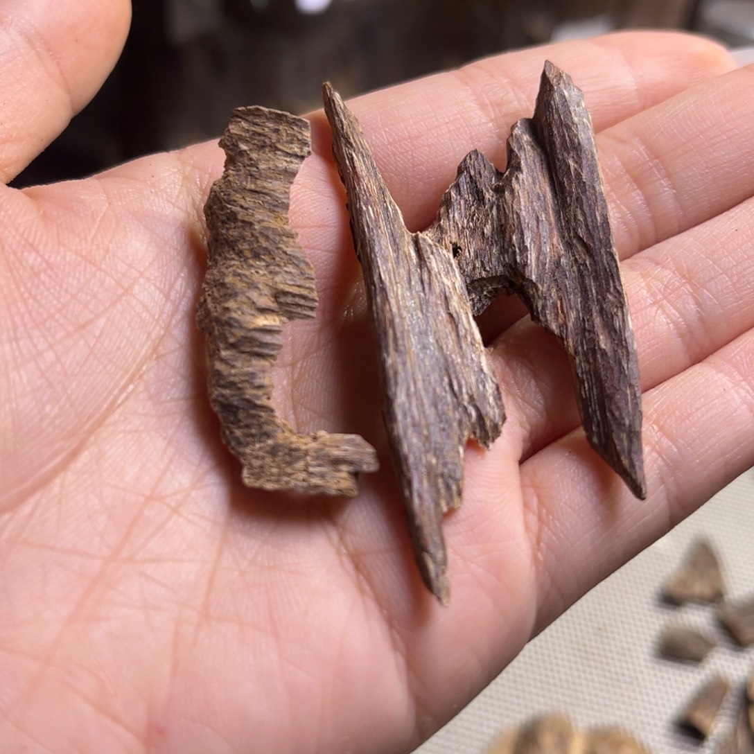 清***）沉香海南尖峰岭虫漏2.5克