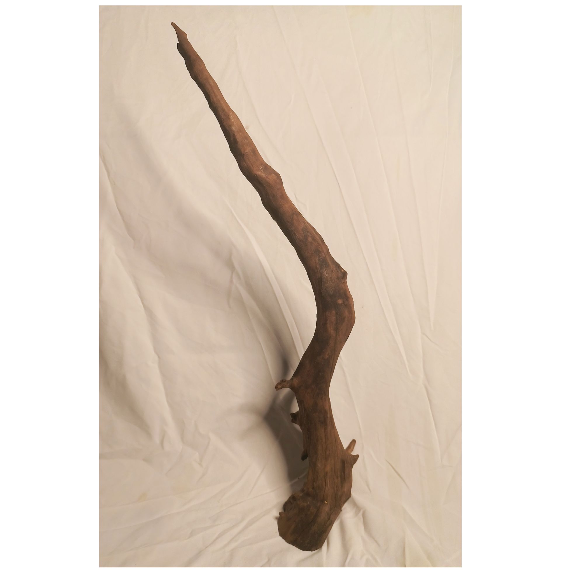 60*14*7云南紫釉沉木（粗支）/鱼缸造景、茶桌摆件（无人工上色、打蜡）