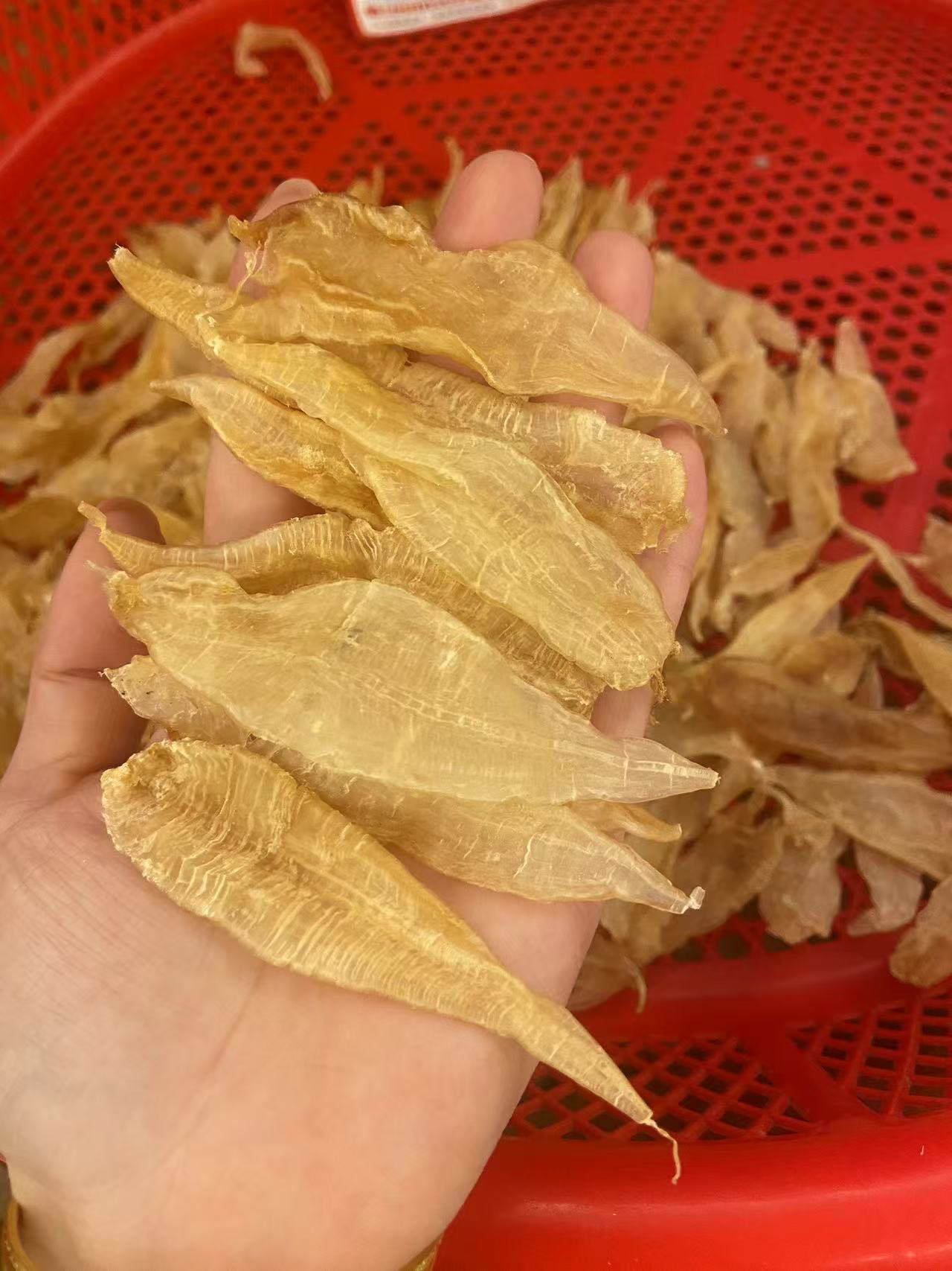 广东汕头+小金龙鱼胶花胶鱼胶鱼肚干胶干货-煲汤-250-500G