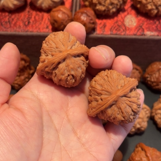 文玩核桃吊坠杨*白狮子