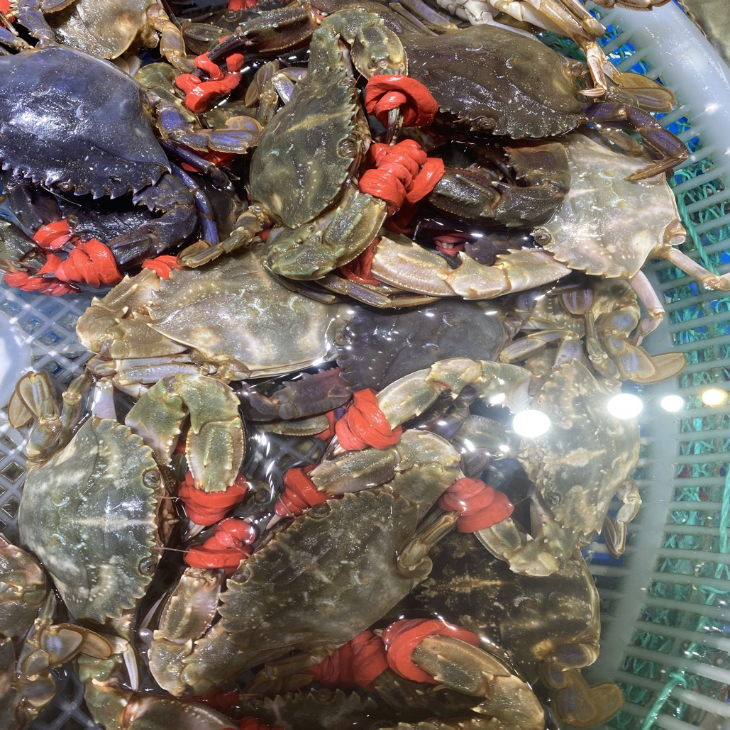 特大花盖！！包鲜不包活！有断腿有皮套解析勿拍5-6只左右/斤