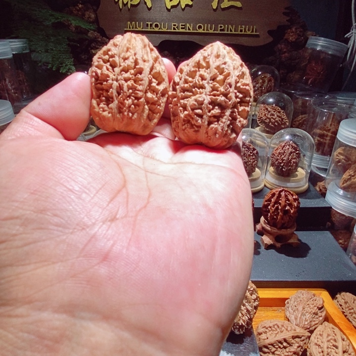 文玩核桃把件握**锋大菊花